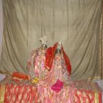 Vraj-Yatra-2014- (871)